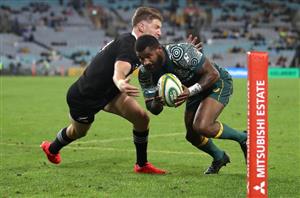australia vs new zealand bledisloe cup