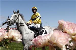 MELBOURNE, AUSTRALIA - NOVEMBER 05: Hugh Bowmen on board Berdibek returns to scale after winning race 5 the Off The Track Subzero Handicap during 2020 Kennedy Oaks Day at Flemington Racecourse on November 05, 2020 in Melbourne, Australia. (Photo by Darrian Traynor/Getty Images for the VRC)