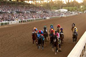 2020 Breeders' Cup Classic Tips - 5/2 chance the probable winner at Keeneland
