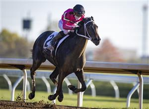 LEXINGTON, KY - NOVEMBER 07: Vequist, ridden by Joel Rosario, wins the Juvenile Fillies race during the first day of the Breeders Cup at Keenland on November 6, 2020 in Lexington, Kentucky. (Photo by Bobby Ellis/Getty Images)