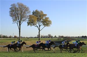 LEXINGTON, KENTUCKY - NOVEMBER 06: The field rounds the first turn during the Juvenile Fillies Turf during the 2020 Breeders Cup at Keeneland on November 06, 2020 in Lexington, Kentucky. (Photo by Andy Lyons/Getty Images)