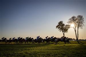 LEXINGTON, KY - NOVEMBER 07: Aunt Pearl, ridden by Florent Geroux, leads the pack around the first corner during the Juvenile Fillies Turf race during the Breeders Cup at Keenland on November 6, 2020 in Lexington, Kentucky. (Photo by Bobby Ellis/Getty Images)