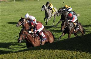 LEXINGTON, KENTUCKY - NOVEMBER 06: Golden Pal runs to victory in the Juvenile Turf Sprint during the 2020 Breeders Cup at Keeneland on November 06, 2020 in Lexington, Kentucky. (Photo by Andy Lyons/Getty Images)