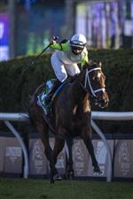 LEXINGTON, KY - NOVEMBER 07: Florent Giroux celebrates after winning the Juvenile Fillies Turf race while riding Aunt Pearl during the Breeders Cup at Keenland on November 6, 2020 in Lexington, Kentucky. (Photo by Bobby Ellis/Getty Images)