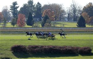 LEXINGTON, KENTUCKY - NOVEMBER 06: The field runs down the back stretch in the Juvenile Turf Sprint during the 2020 Breeders Cup at Keeneland on November 06, 2020 in Lexington, Kentucky. (Photo by Andy Lyons/Getty Images)