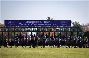 LEXINGTON, KY - NOVEMBER 07: Horses exit the starting gate in the Juvenile Turf Spring at Keenland on November 6, 2020 in Lexington, Kentucky. (Photo by Bobby Ellis/Getty Images)