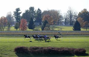LEXINGTON, KENTUCKY - NOVEMBER 06: The field runs down the back stretch in the Juvenile Turf Sprint during the 2020 Breeders Cup at Keeneland on November 06, 2020 in Lexington, Kentucky. (Photo by Andy Lyons/Getty Images)