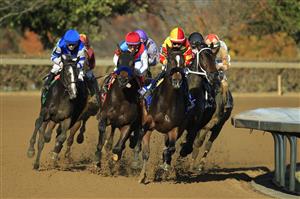 LEXINGTON, KENTUCKY - NOVEMBER 06: The field rounds the second turn in the Juvenile Fillies during the 2020 Breeders Cup at Keeneland on November 06, 2020 in Lexington, Kentucky. (Photo by Andy Lyons/Getty Images)