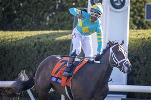 LEXINGTON, KY - NOVEMBER 07: Ricardo Santana, Jr., riding Fire at Will, celebrates as he crosses the finish line to win the Juvenile Turf on the first day of the Breeders Cup at Keenland on November 6, 2020 in Lexington, Kentucky. (Photo by Bobby Ellis/Getty Images)
