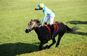 LEXINGTON, KENTUCKY - NOVEMBER 06: Ricardo Santana Jr aboard Fire At Will celebrates after victory in the Juvenile Turf during the 2020 Breeders Cup at Keeneland on November 06, 2020 in Lexington, Kentucky. (Photo by Andy Lyons/Getty Images)