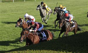 LEXINGTON, KENTUCKY - NOVEMBER 06: Golden Pal runs to victory in the Juvenile Turf Sprint during the 2020 Breeders Cup at Keeneland on November 06, 2020 in Lexington, Kentucky. (Photo by Andy Lyons/Getty Images)