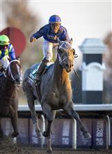 LEXINGTON, KY - NOVEMBER 07: Louis Saez, riding Essential Quality, celebrates after winning the Breeders Cup Juvenile at Keenland on November 6, 2020 in Lexington, Kentucky. (Photo by Bobby Ellis/Getty Images)