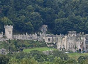 Gwrych Castle, I'm A Celebrity