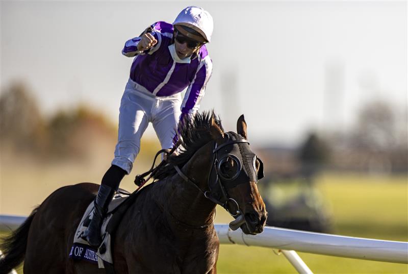 LEXINGTON, KY - NOVEMBER 07: Christophe Soumillon, riding Order of Australia, celebrates after winning the Breeders Cup Mile at Keenland on November 6, 2020 in Lexington, Kentucky. (Photo by Bobby Ellis/Getty Images)