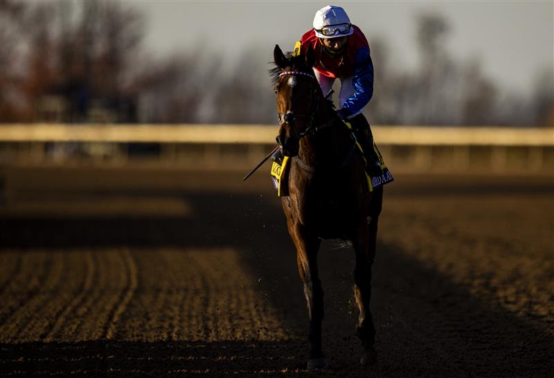 LEXINGTON, KY - NOVEMBER 07: Mehdaayih, ridden by Joel Rosario, trots past the grand stand after the Breeders Cup Turf Race at Keenland on November 7, 2020 in Lexington, Kentucky. (Photo by Bobby Ellis/Getty Images)