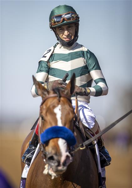 LEXINGTON, KY - NOVEMBER 07: John Velazquez, riding Gamine, makes his way to the winners circle after winning the Filly and Mare Sprint on the second day of the Breeders Cup at Keenland on November 6, 2020 in Lexington, Kentucky. (Photo by Bobby Ellis/Getty Images)