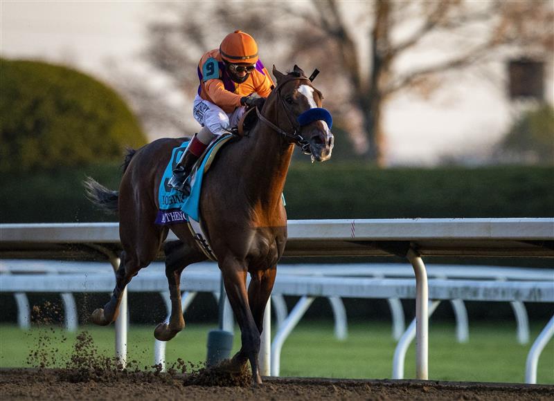LEXINGTON, KY - NOVEMBER 07: Authentic, ridden by John Velazquez races towards the finish line during the Breeders Cup Classic at Keenland on November 7, 2020 in Lexington, Kentucky. (Photo by Bobby Ellis/Getty Images)