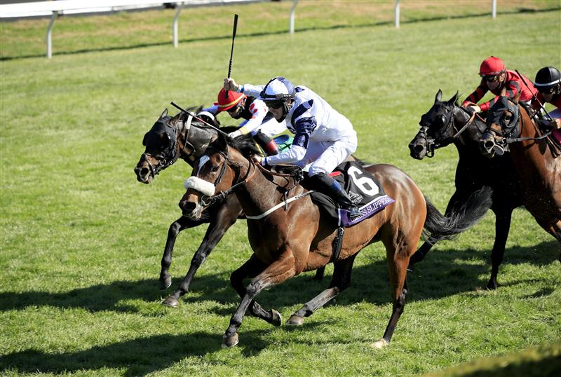 LEXINGTON, KENTUCKY - NOVEMBER 07:   Glass Slippers with Tom Eaves aboard runs to victory in the Turf Sprint during 2020 Breeders' Cup at Keeneland on November 07, 2020 in Lexington, Kentucky. (Photo by Andy Lyons/Getty Images)