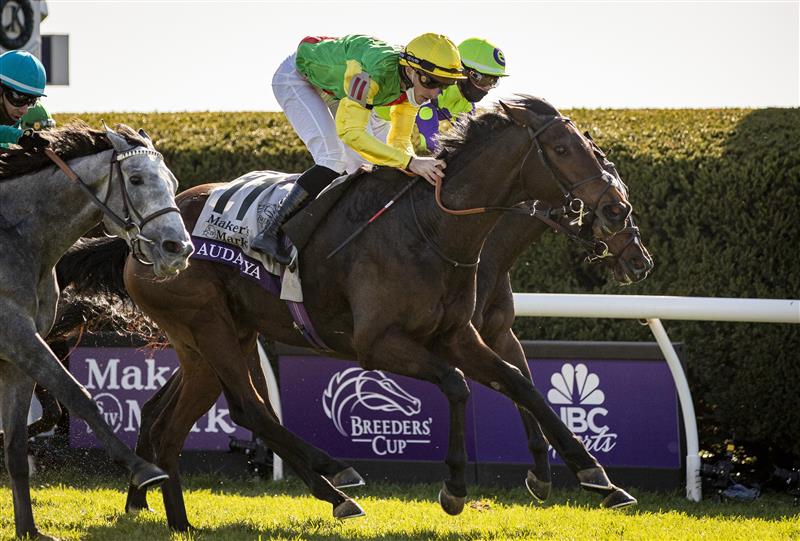 LEXINGTON, KY - NOVEMBER 07: Pierre-Charles Boudot, riding Audarya, crosses the finish line to win the Breeders Cup Filly and Mare Turf at Keenland on November 6, 2020 in Lexington, Kentucky. (Photo by Bobby Ellis/Getty Images)