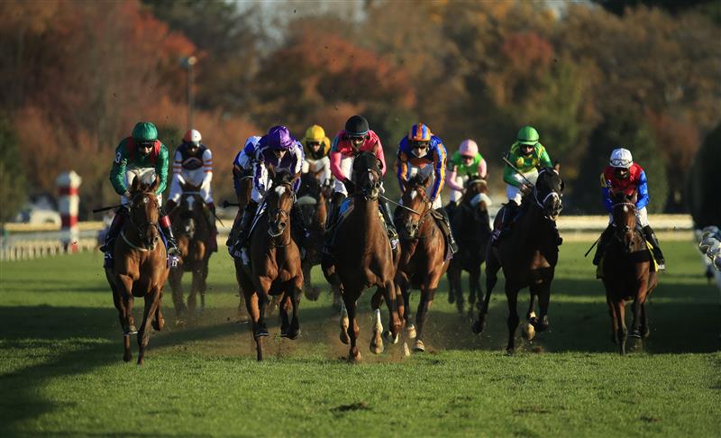 LEXINGTON, KENTUCKY - NOVEMBER 07:   Tarnawa #3 (far left) with Christophe Soumilion aboard wins the Breeders' Cup Turf during 2020 Breeders' Cup at Keeneland on November 07, 2020 in Lexington, Kentucky. (Photo by Andy Lyons/Getty Images)