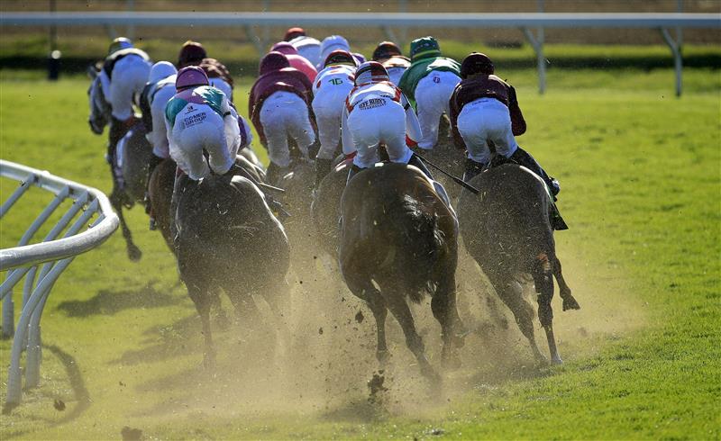LEXINGTON, KENTUCKY - NOVEMBER 07:   The field rounds the second turn in the Breeders' Cup Mile during 2020 Breeders' Cup at Keeneland on November 07, 2020 in Lexington, Kentucky. (Photo by Andy Lyons/Getty Images)