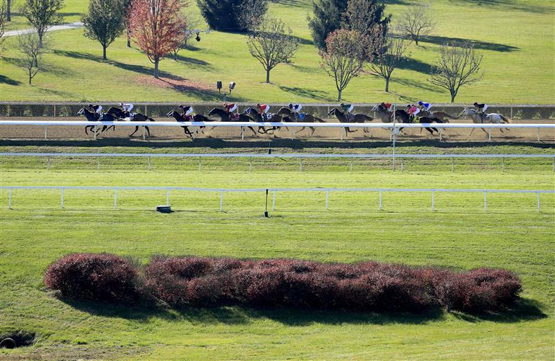 LEXINGTON, KENTUCKY - NOVEMBER 07:  The field runs the back stretch in the Filly and Mare Sprint during 2020 Breeders' Cup at Keeneland on November 07, 2020 in Lexington, Kentucky. (Photo by Andy Lyons/Getty Images)