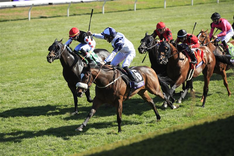 LEXINGTON, KENTUCKY - NOVEMBER 07:   Glass Slippers with Tom Eaves aboard runs to victory in the Turf Sprint during 2020 Breeders' Cup at Keeneland on November 07, 2020 in Lexington, Kentucky. (Photo by Andy Lyons/Getty Images)