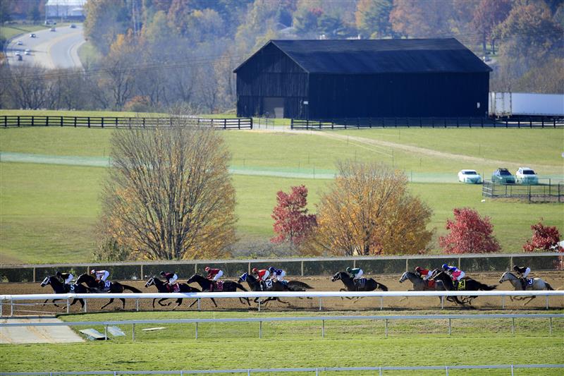 LEXINGTON, KENTUCKY - NOVEMBER 07:   The field runs the back stretch in the Breeders' Cup Dirt Mile during 2020 Breeders' Cup at Keeneland on November 07, 2020 in Lexington, Kentucky. (Photo by Andy Lyons/Getty Images)