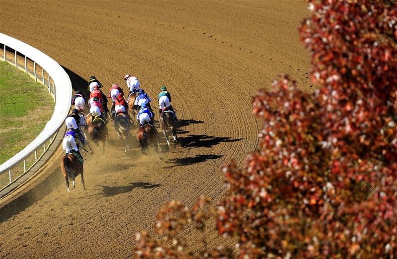 LEXINGTON, KENTUCKY - NOVEMBER 07:   The field runs the first turn in the Breeders' Cup Dirt Mile during 2020 Breeders' Cup at Keeneland on November 07, 2020 in Lexington, Kentucky. (Photo by Andy Lyons/Getty Images)