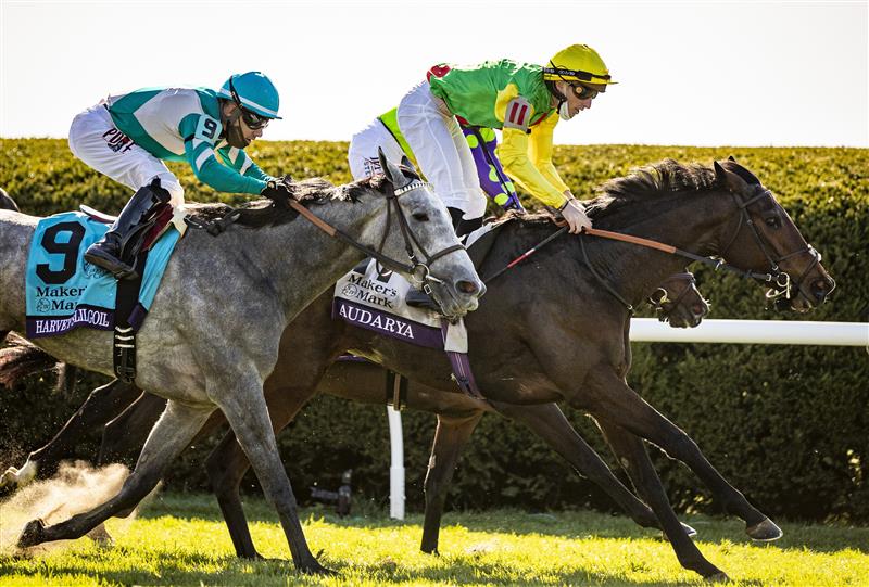 LEXINGTON, KY - NOVEMBER 07: Pierre-Charles Boudot, riding Audarya, crosses the finish line to win the Breeders Cup Filly and Mare Turf at Keenland on November 6, 2020 in Lexington, Kentucky. (Photo by Bobby Ellis/Getty Images)
