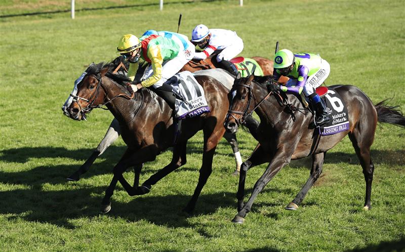 LEXINGTON, KENTUCKY - NOVEMBER 07:   Audarya with Pierre-Charles Boudot aboard runs to victory in the Breeders,'Cup Filly and Mare Turf during 2020 Breeders' Cup at Keeneland on November 07, 2020 in Lexington, Kentucky. (Photo by Andy Lyons/Getty Images)