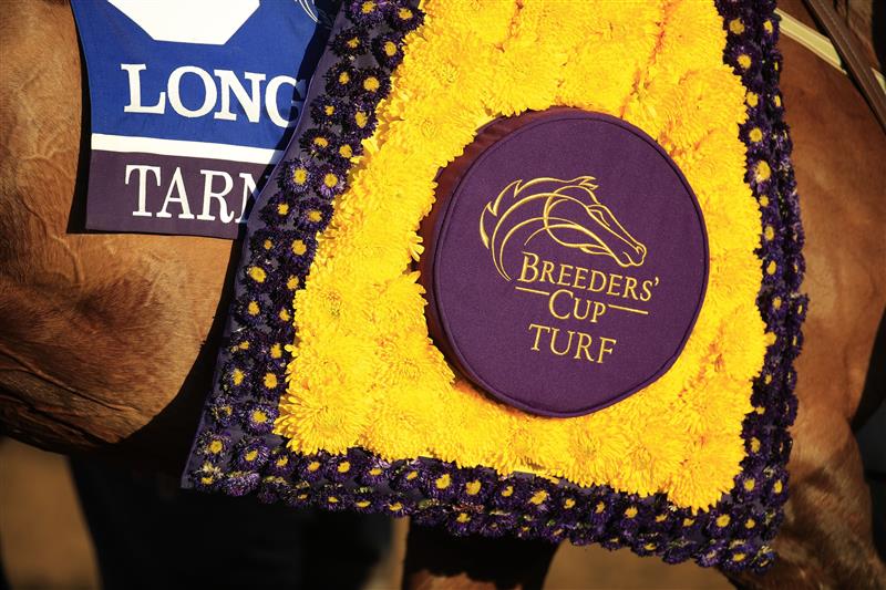LEXINGTON, KENTUCKY - NOVEMBER 07:   the winner's blanket sits on Tarnawa #3 after victory in the Breeders' Cup Turf during 2020 Breeders' Cup at Keeneland on November 07, 2020 in Lexington, Kentucky. (Photo by Andy Lyons/Getty Images)