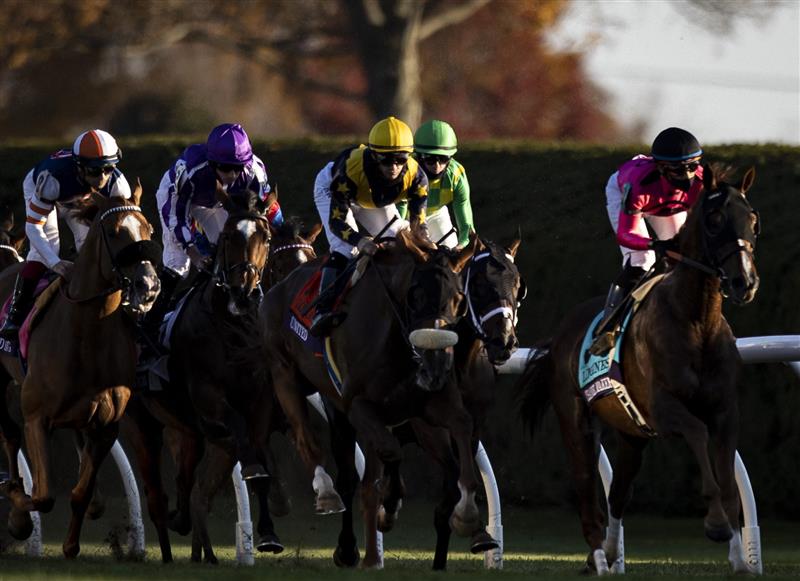 LEXINGTON, KY - NOVEMBER 07: Horses race out of the starting gate during the Breeders Cup Turf at Keenland on November 6, 2020 in Lexington, Kentucky. (Photo by Bobby Ellis/Getty Images)