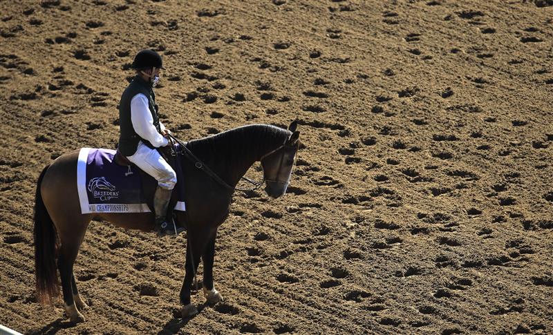 LEXINGTON, KENTUCKY - NOVEMBER 07:  The field runs the back stretch in the Filly and Mare Sprint during 2020 Breeders' Cup at Keeneland on November 07, 2020 in Lexington, Kentucky. (Photo by Andy Lyons/Getty Images)