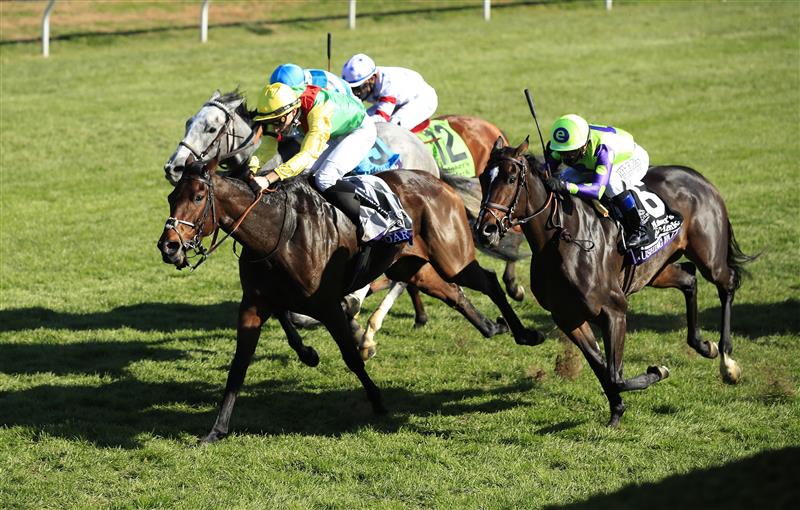 LEXINGTON, KENTUCKY - NOVEMBER 07:   Audarya with Pierre-Charles Boudot aboard runs to victory in the Breeders,'Cup Filly and Mare Turf during 2020 Breeders' Cup at Keeneland on November 07, 2020 in Lexington, Kentucky. (Photo by Andy Lyons/Getty Images)