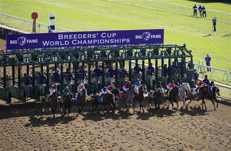 LEXINGTON, KENTUCKY - NOVEMBER 07:   The field leaves the starters gate in the Breeders' Cup Dirt Mile during 2020 Breeders' Cup at Keeneland on November 07, 2020 in Lexington, Kentucky. (Photo by Andy Lyons/Getty Images)
