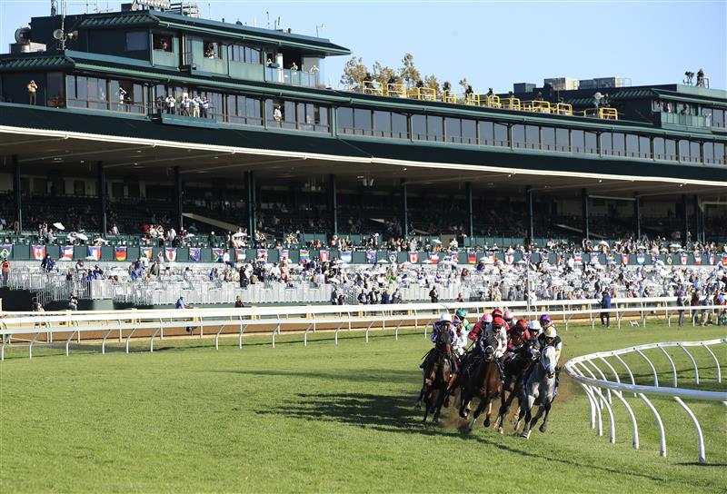 LEXINGTON, KENTUCKY - NOVEMBER 07:   The field rounds the first turn in the Breeders' Cup Mile during 2020 Breeders' Cup at Keeneland on November 07, 2020 in Lexington, Kentucky. (Photo by Andy Lyons/Getty Images)