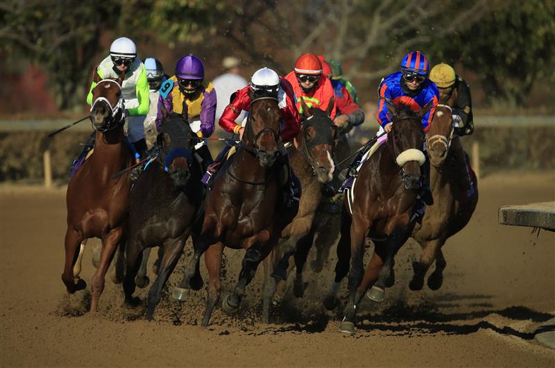 LEXINGTON, KENTUCKY - NOVEMBER 07:   The field rounds the first turn in the Breeders' Cup Distaff during 2020 Breeders' Cup at Keeneland on November 07, 2020 in Lexington, Kentucky. (Photo by Andy Lyons/Getty Images)