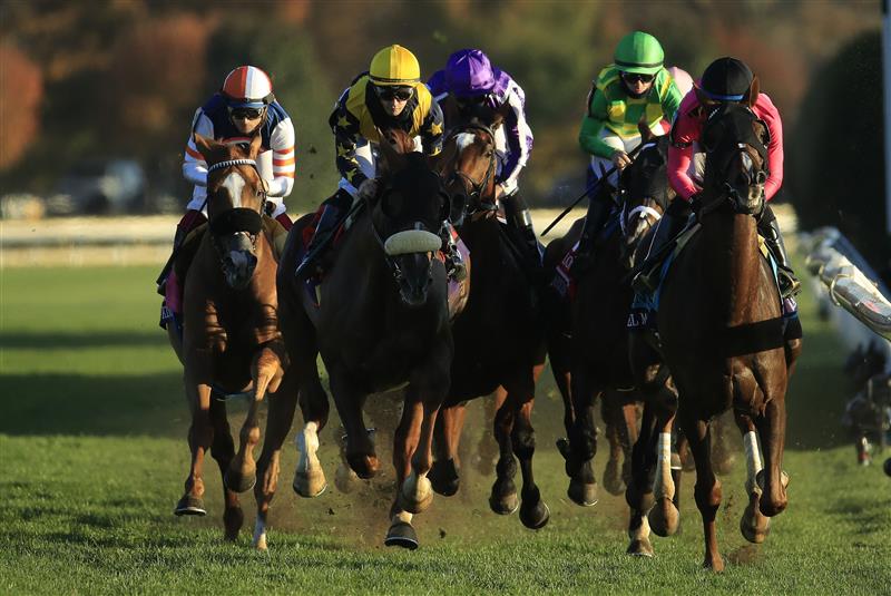 LEXINGTON, KENTUCKY - NOVEMBER 07:  The field runs down the front stretch on the first lap of the Breeders' Cup Turf during 2020 Breeders' Cup at Keeneland on November 07, 2020 in Lexington, Kentucky. (Photo by Andy Lyons/Getty Images)