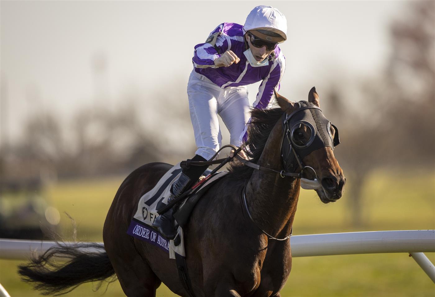 LEXINGTON, KY - NOVEMBER 07: Christophe Soumillon, riding Order of Australia, celebrates after winning the Breeders Cup Mile at Keenland on November 6, 2020 in Lexington, Kentucky. (Photo by Bobby Ellis/Getty Images)