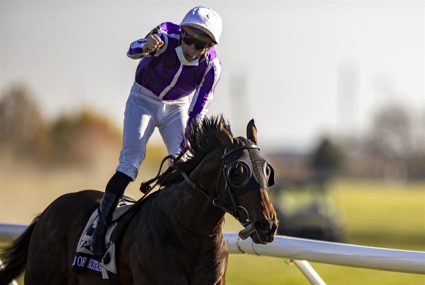 LEXINGTON, KY - NOVEMBER 07: Christophe Soumillon, riding Order of Australia, celebrates after winning the Breeders Cup Mile at Keenland on November 6, 2020 in Lexington, Kentucky. (Photo by Bobby Ellis/Getty Images)