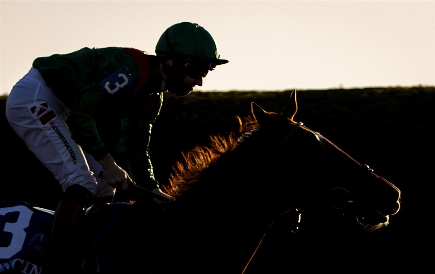 LEXINGTON, KY - NOVEMBER 07: Tarnawa, ridden by Christophe Soumillon races towards the finish line in the Breeders Cup Turf race at Keenland on November 7, 2020 in Lexington, Kentucky. (Photo by Bobby Ellis/Getty Images)