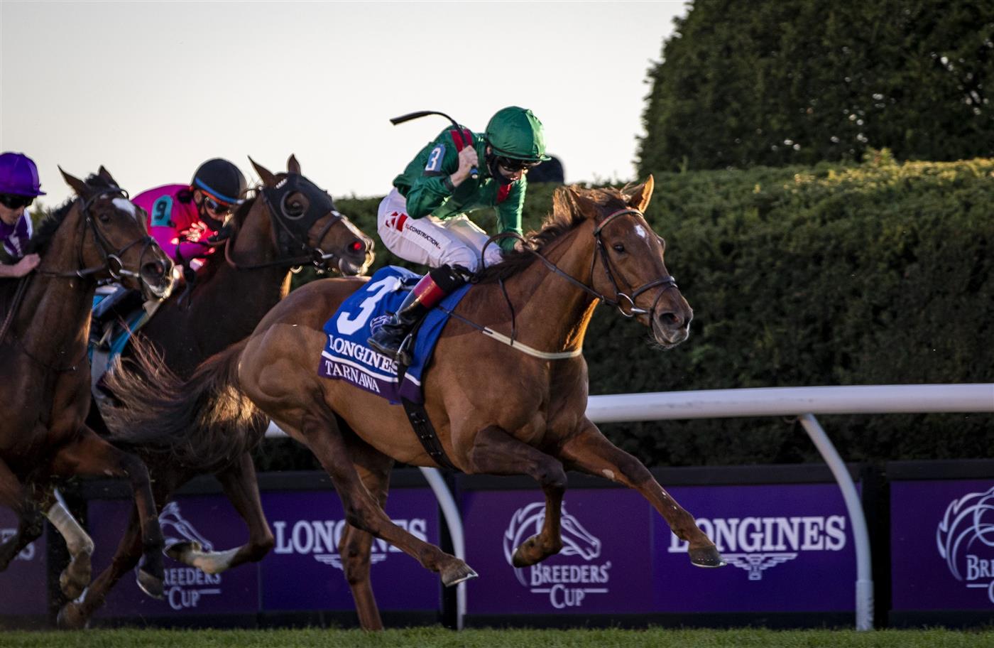 LEXINGTON, KY - NOVEMBER 07: Tarnawa, ridden by Christophe Soumillon, crosses the finish line to win the Breeders Cup Turf at Keenland on November 7, 2020 in Lexington, Kentucky. (Photo by Bobby Ellis/Getty Images)