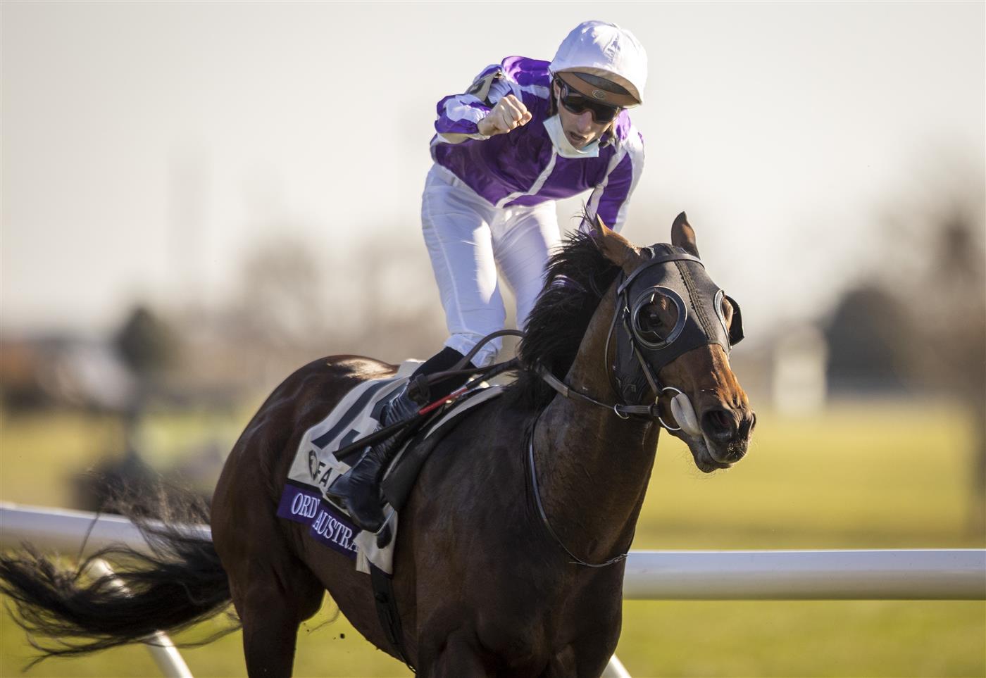 LEXINGTON, KY - NOVEMBER 07: Christophe Soumillon, riding Order of Australia, celebrates after winning the Breeders Cup Mile at Keenland on November 6, 2020 in Lexington, Kentucky. (Photo by Bobby Ellis/Getty Images)