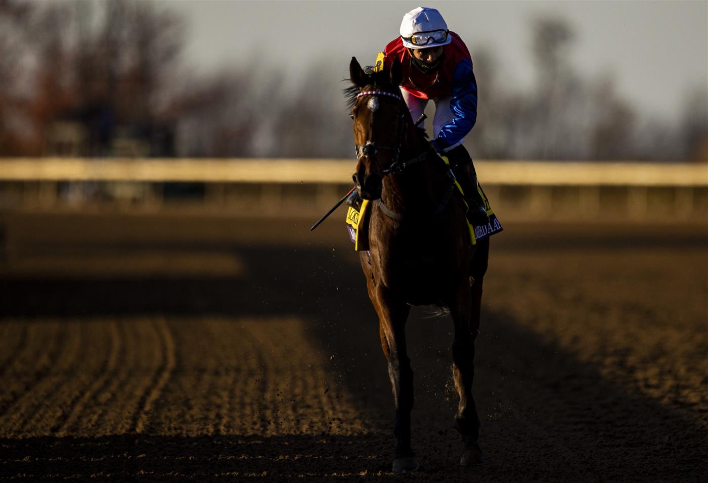 LEXINGTON, KY - NOVEMBER 07: Mehdaayih, ridden by Joel Rosario, trots past the grand stand after the Breeders Cup Turf Race at Keenland on November 7, 2020 in Lexington, Kentucky. (Photo by Bobby Ellis/Getty Images)
