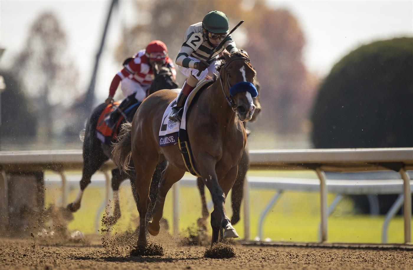 LEXINGTON, KY - NOVEMBER 07: Gamine, ridden by John Velazquez, crosses the finish line to win the Filly and Mare Sprint on the second day of the Breeders Cup at Keenland on November 6, 2020 in Lexington, Kentucky. (Photo by Bobby Ellis/Getty Images)