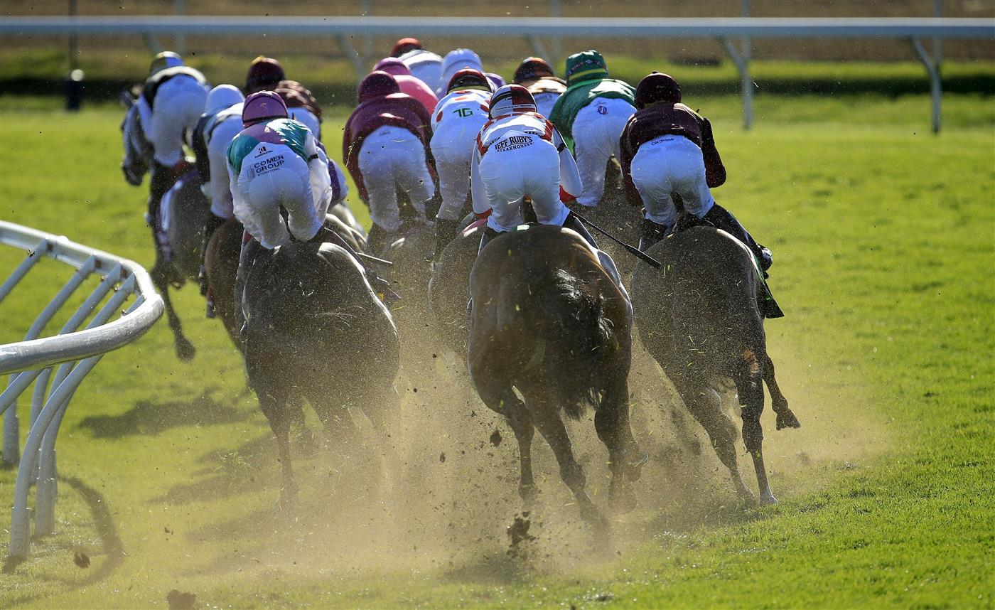 LEXINGTON, KENTUCKY - NOVEMBER 07:   The field rounds the second turn in the Breeders' Cup Mile during 2020 Breeders' Cup at Keeneland on November 07, 2020 in Lexington, Kentucky. (Photo by Andy Lyons/Getty Images)