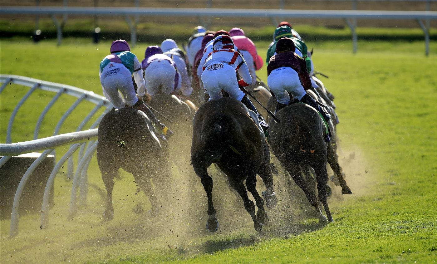 LEXINGTON, KENTUCKY - NOVEMBER 07:   The field rounds the second turn in the Breeders' Cup Mile during 2020 Breeders' Cup at Keeneland on November 07, 2020 in Lexington, Kentucky. (Photo by Andy Lyons/Getty Images)