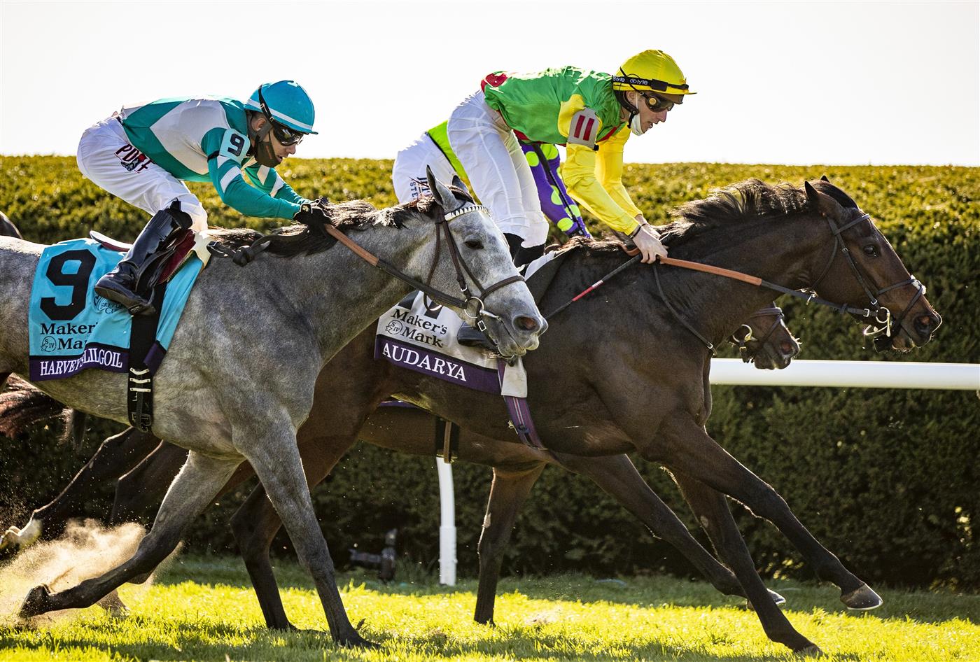 LEXINGTON, KY - NOVEMBER 07: Pierre-Charles Boudot, riding Audarya, crosses the finish line to win the Breeders Cup Filly and Mare Turf at Keenland on November 6, 2020 in Lexington, Kentucky. (Photo by Bobby Ellis/Getty Images)
