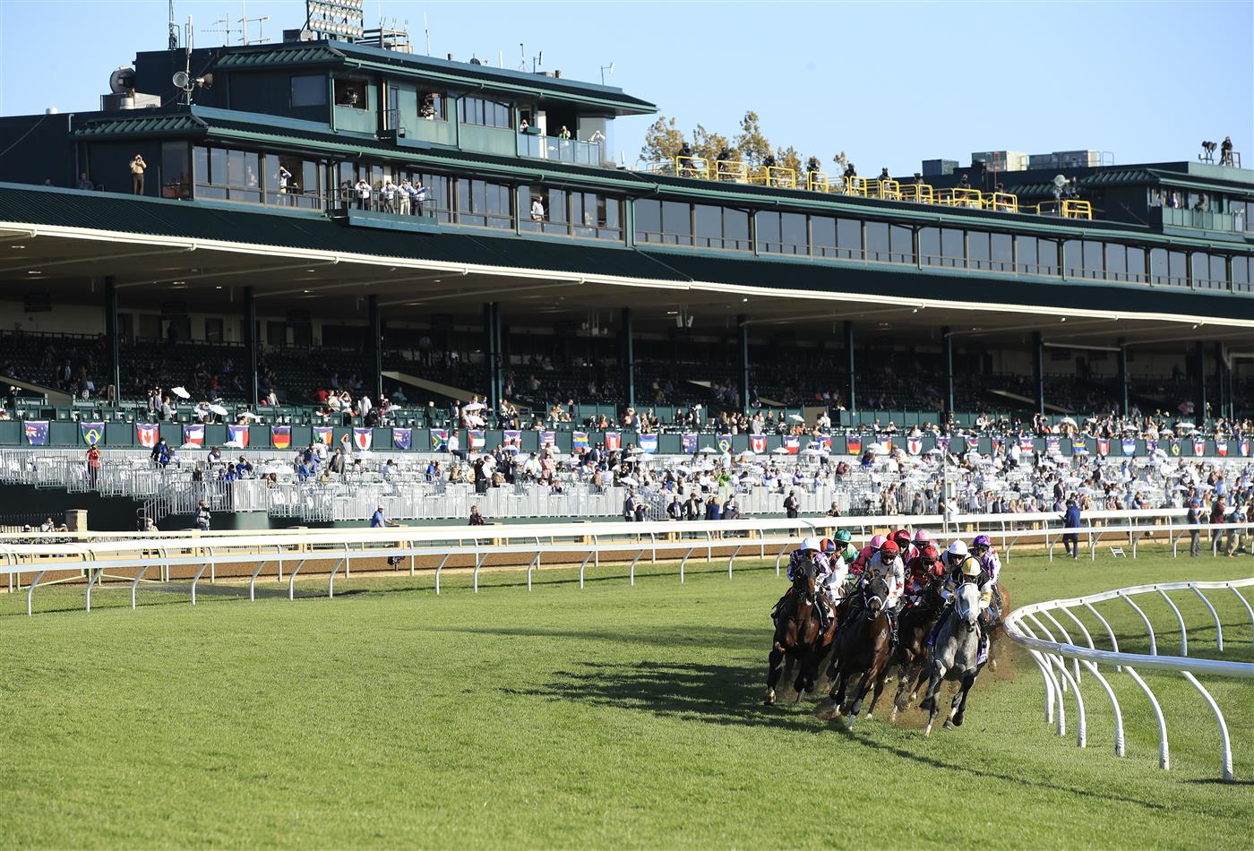 LEXINGTON, KENTUCKY - NOVEMBER 07:   The field rounds the first turn in the Breeders' Cup Mile during 2020 Breeders' Cup at Keeneland on November 07, 2020 in Lexington, Kentucky. (Photo by Andy Lyons/Getty Images)